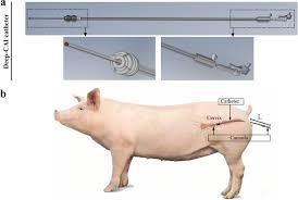 ARTIFICIAL INSEMINATION