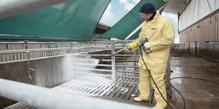 Sanitation and Disinfection of Pig Pens